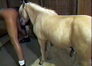 Pony bestiality porn