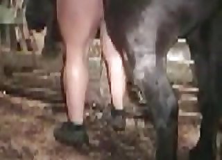 MIFL with a tight hole bangs a horse