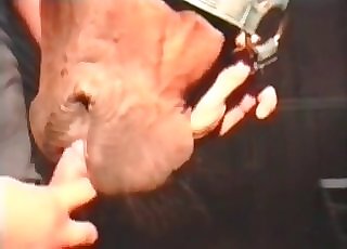 Big stallion is licking and sucking my dick