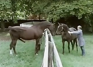 Unbelievable horses are plumbing in doggy style